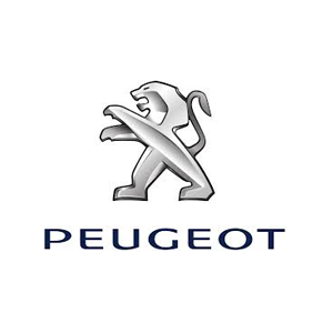 Carcasa cheie Peugeot