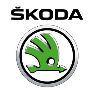 Carcasa cheie Skoda